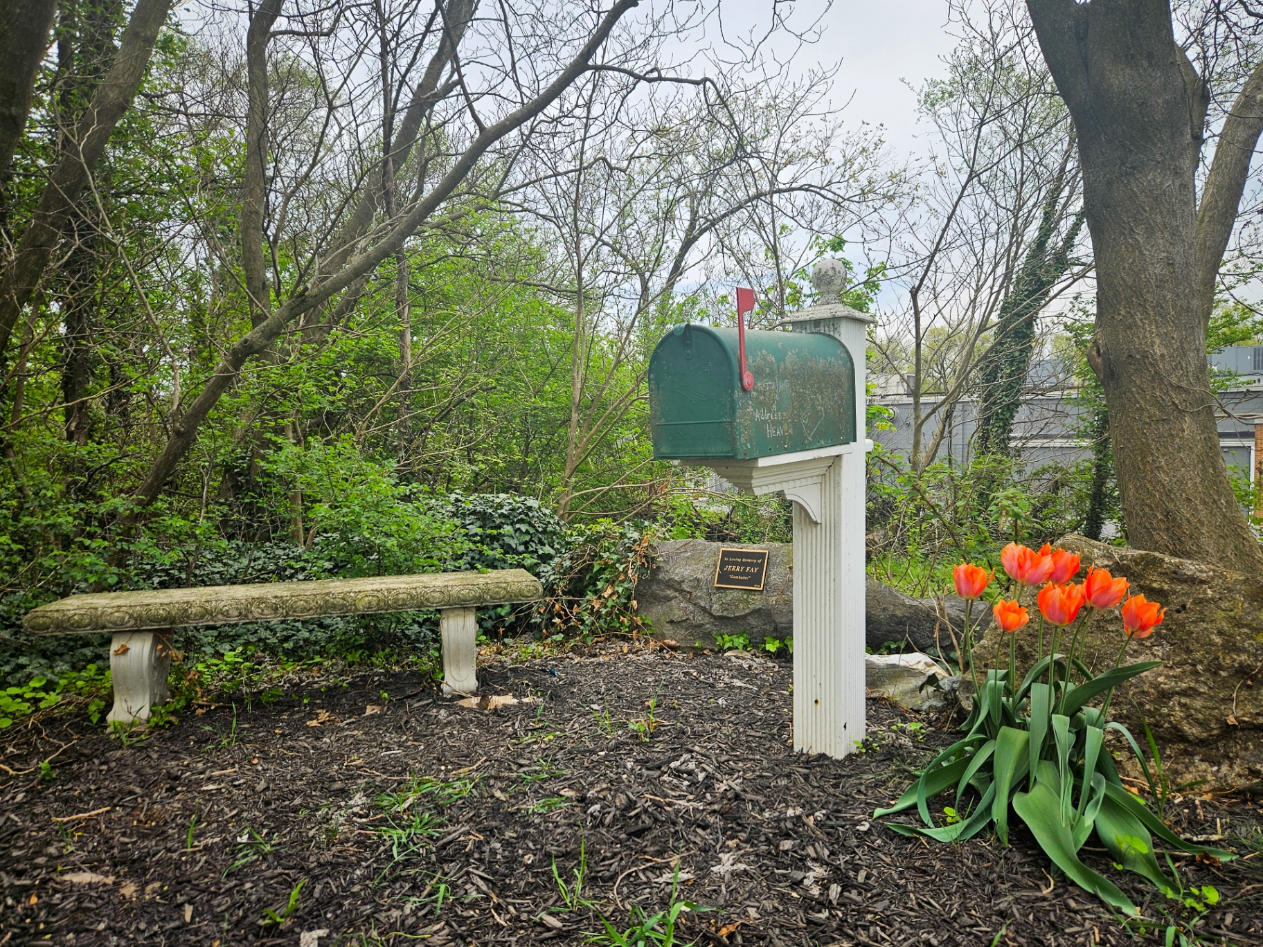 The memorial garden at Edgehill with bench, mailbox, and tulips